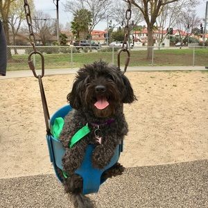 Meet your Posher, Suzan